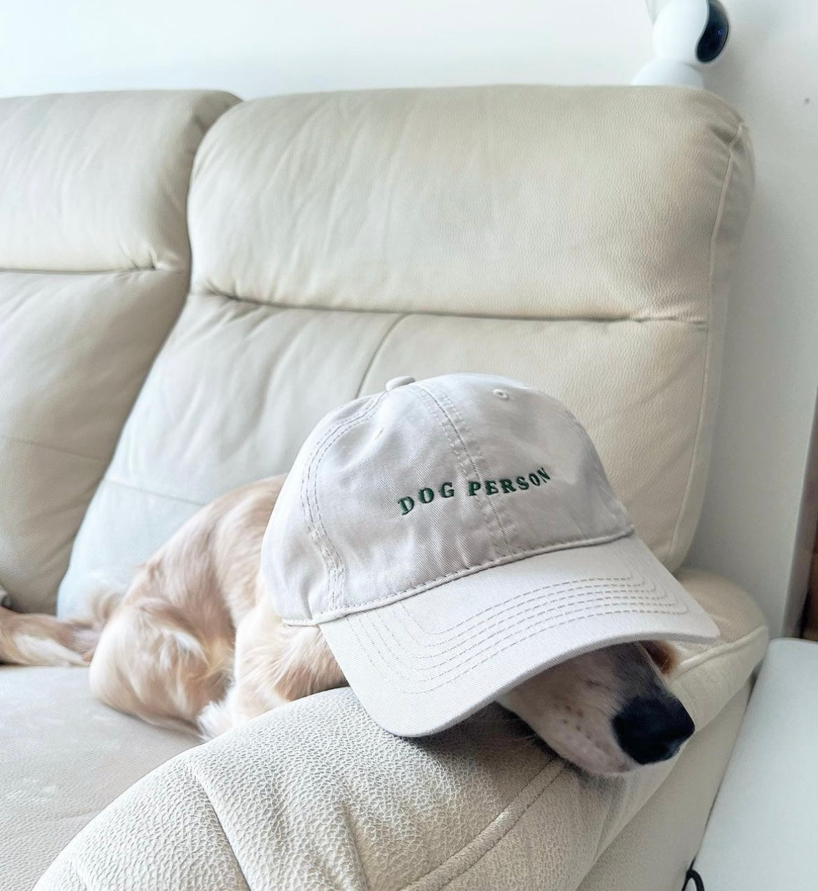 Dog Person Hat