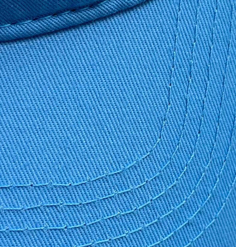 Dog Mom Hat (Baby Blue)