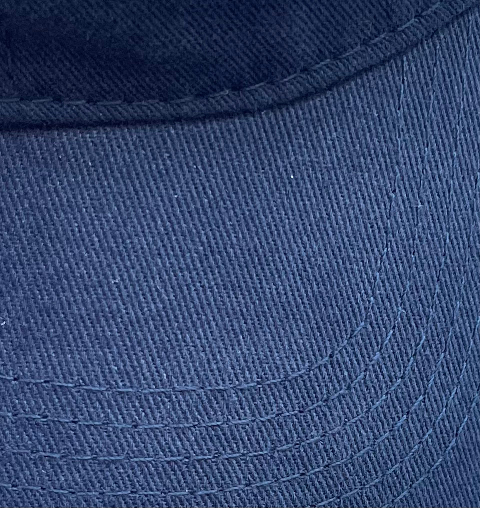 Dog Dad Hat (Blue)
