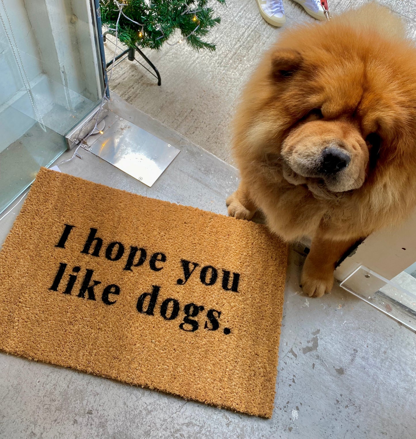I Hope You Like Dogs Door Mat